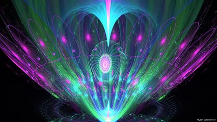 Holographic Heart Torus