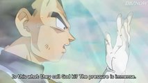 Goku and Vegeta Training in Mystical Fog, Dragon Ball Super