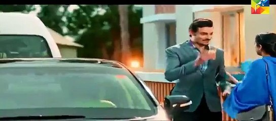 Sanam Full OST Video Song Hum Tv