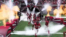 Cardinals vs Falcons (213)