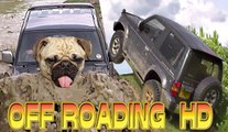 OFF-ROADING 4x4 Jeeps Motorbikes Gokart Pug Dog
