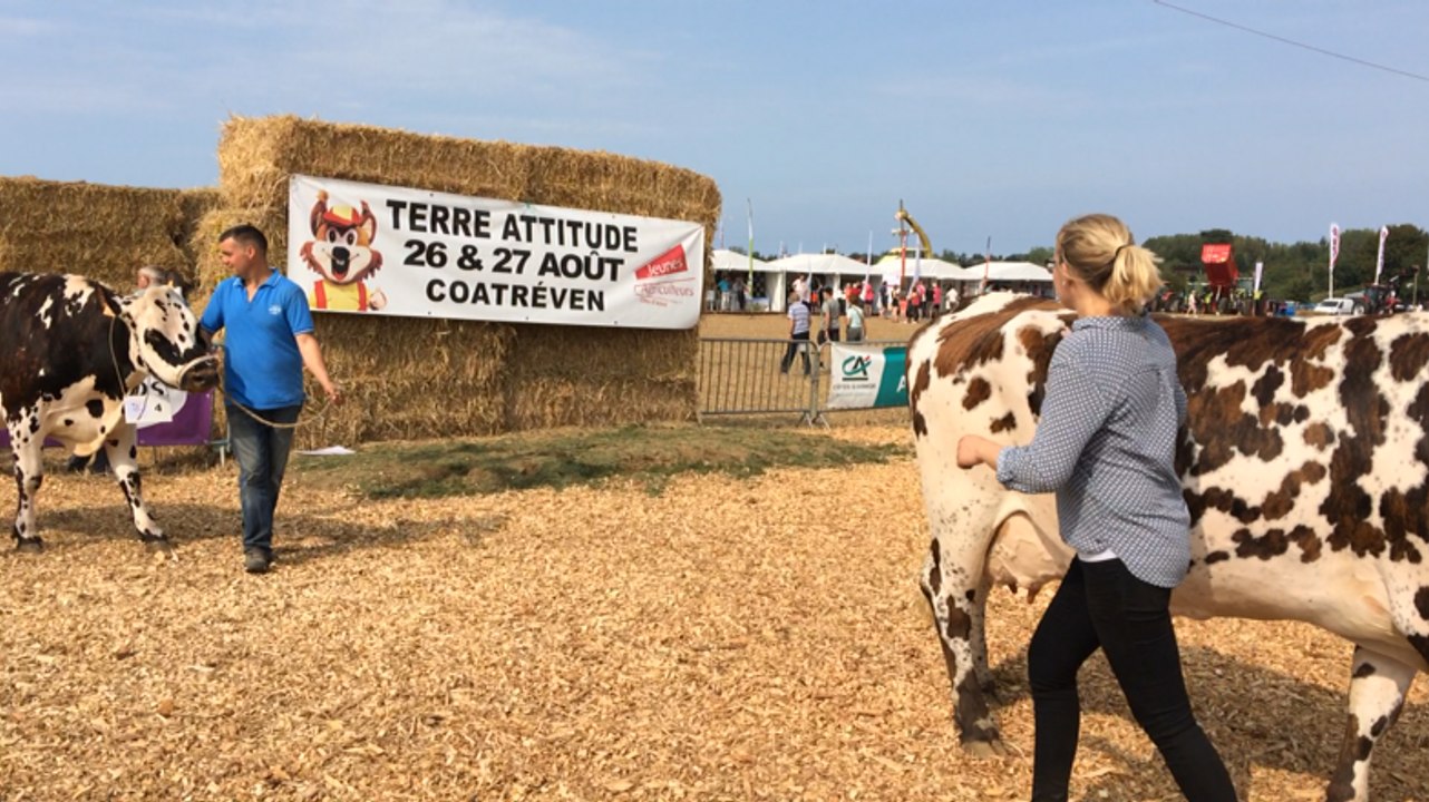 Terre Attitude : une immense ferme à ciel ouvert