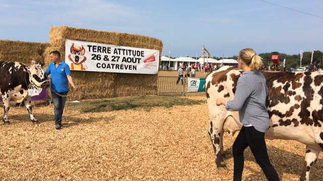 Terre Attitude : une immense ferme à ciel ouvert