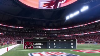 Cardinals vs Falcons (214)