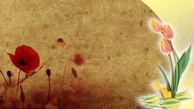 Wagner: Wedding March from Lohengrin (arr. Kevin MacLeod)