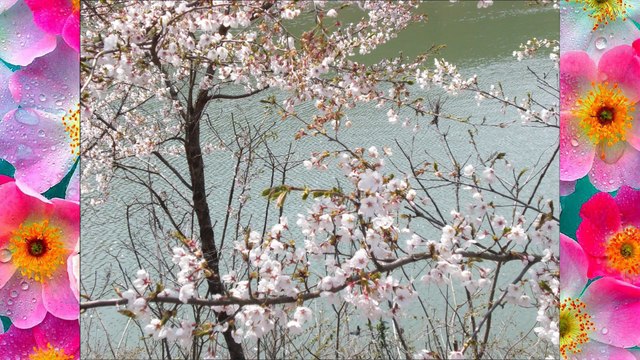 Bach: Air on the G String (U.S. Air Force Strings)