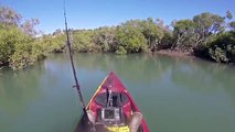 Ce kayakiste pensait avoir trouvé un coin tranquille pour pêcher (Australie)