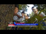 NET24 Siswa SMP di Sidoarjo Rayakan Kelulusan dengan Cabuti Paku di Pohon Bekas Penempatan Alat Pera