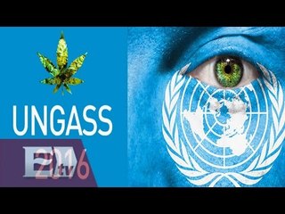 Qué puede esperar México de la UNGASS 2016 / Opiniones encontradas