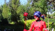 Miraculous Ladybug Chat Noir Real Life Cosplay Cosplay