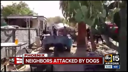 FD: 2 hospitalized after west Phoenix dog attack