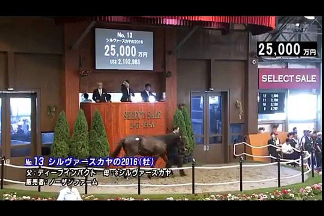 【武豊と凱旋門を勝つことが夢】シルヴァースカヤの2016　キーファーズ