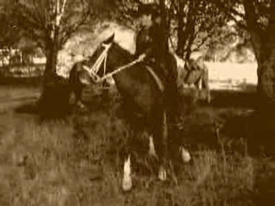 bataille a cheval