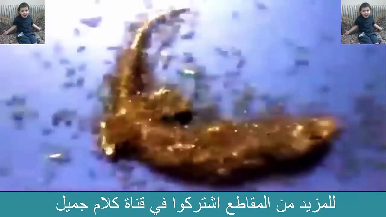 لن تصدق !!! نمل يلتهم برص لا اله الا الله!!! سبحان الله