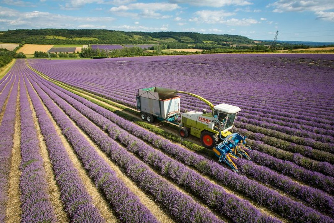 Latest SECRET TECHNIQUES - New Smart Agriculture INVENTION Modern Machinery