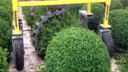 SMART TECHNOLOGY USA - New Technological Series Artistic BONSAI Pruning