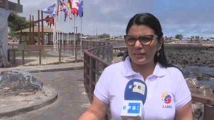 Ecuador internacionaliza la lucha contra la pesca alrededor de Galápagos