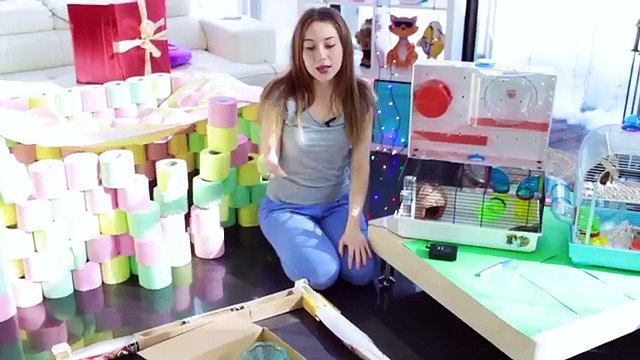 Новая Игровая Комната И Полоса Препятствий для Хомяка - ХОМЯК ИГРАЕТ | Elli Di Pets