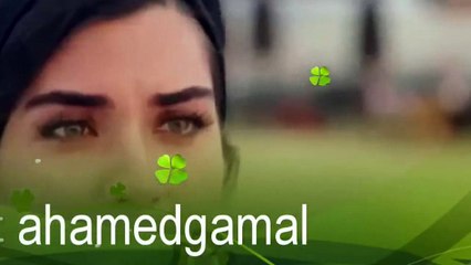 اغنية سنين مش هفتكرها عمر واليف_