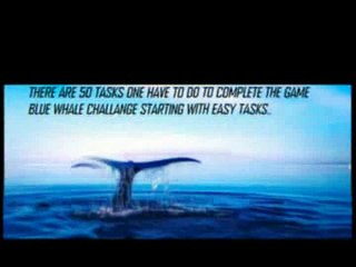 BLUE WHALE CHALLENGE GAME 50 TASKS OF IT