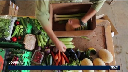 Israël, le pays des startups : De la high-tech aux légumes bio