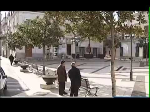 TG 08.08.13 Allarme criminalità a Lizzano