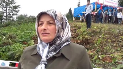 16'inci Maçahel Saf Kafkas Arı ve Bal Festivali Gerçekleştirildi