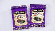 KatyFamily┃哈里波特怪味糖親子PK賽♥Harry Potter Bertie Botts Jelly Bean Challenge!