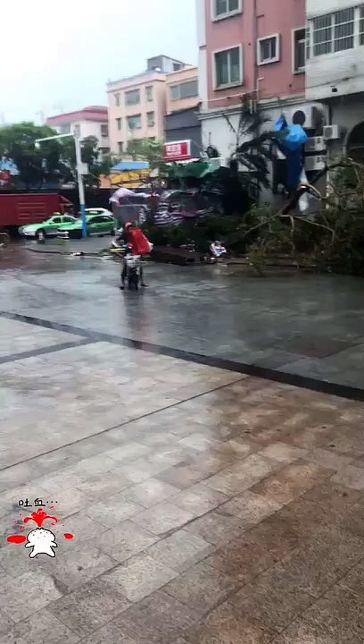 Funny videos