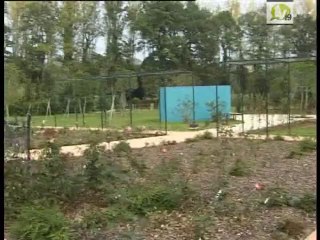 Les jardins de Colette