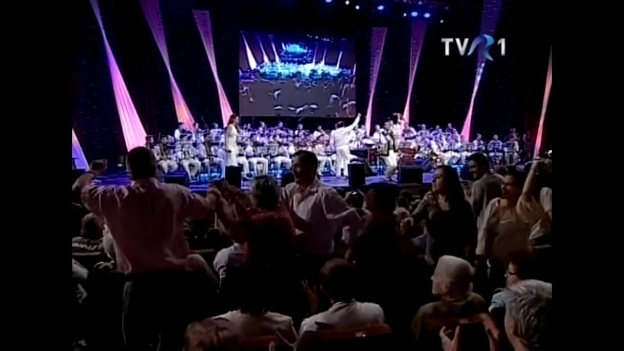 Ion Paladi - Foaie verde şi-un chiperi - live