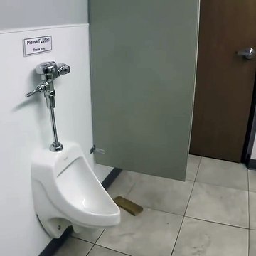 Este perro sabe cómo se ha de usar el baño