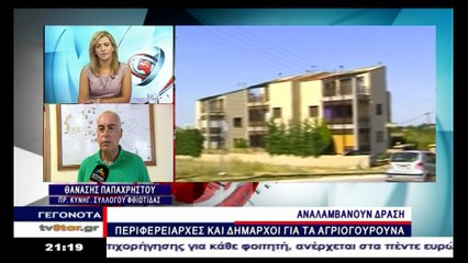 Τι λένε οι κυνηγοί για τον υπερπληθυσμό των αγριογούρουνων