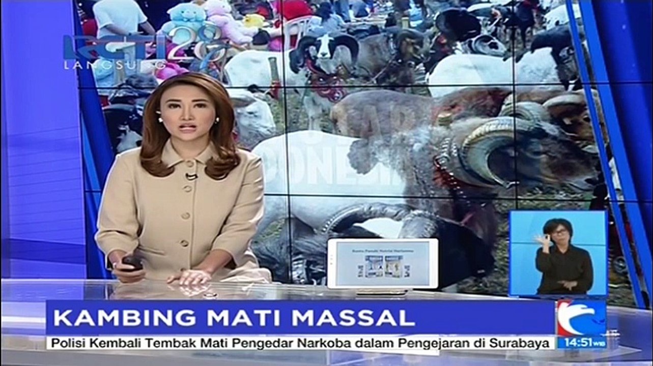 Kematian Massal Kambing di Probolinggo Resahkan Warga