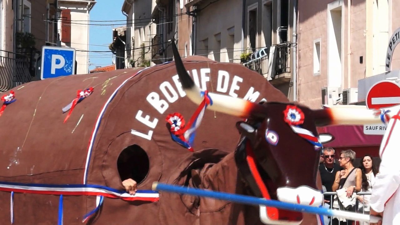 40 ème corso de la ville de Mèze – Le boeuf de Mèze le 8 mai