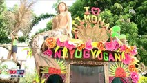 Pagdiriwang ng Niyogyugan Festival sa Quezon Province, naging makulay