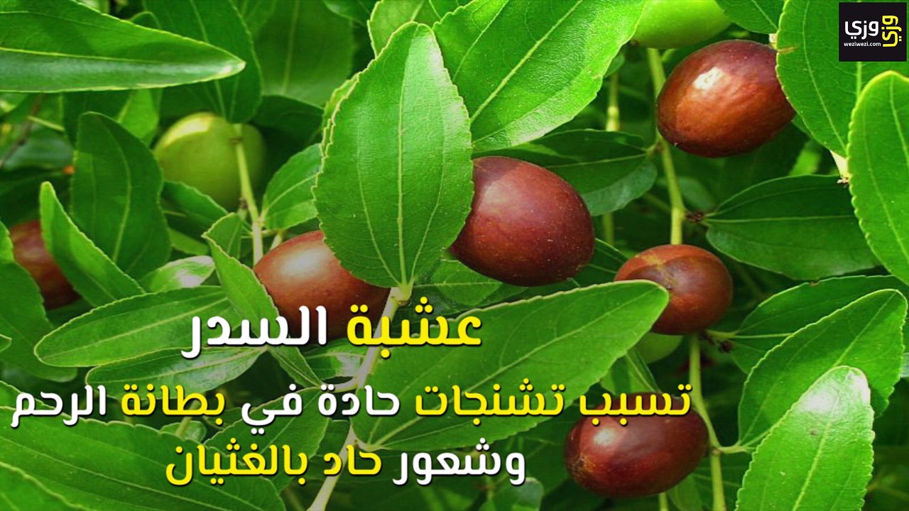 10 أعشاب تتسبب بالإجهاض الفوري