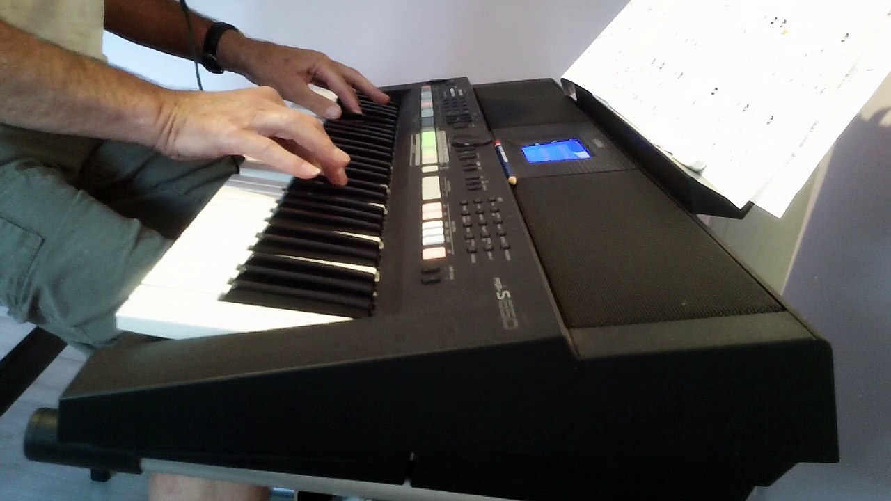 Petite Fleur   REPRISE clavier