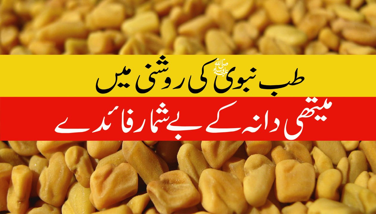 Methi Dana k Fawaid in urdu Tibb e Nabawi #1