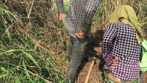 Wow!!Amazing Three Brothers Catch BIG SNAKE by digging DEEP HOLE how to catch SNAKE by far