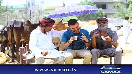 Hashmat & Sons | SAMAA TV | 27 Aug 2017