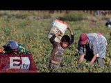 Al menos cuatro millones de niños trabajan en México / Ricardo Salas