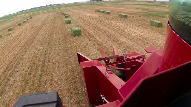 Balya toplamak hiç bu kadar kolay olmamıştı