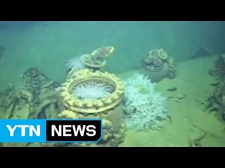2차 대전 때 침몰한 日 군함 '무사시' 잔해 발견 / YTN