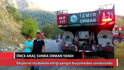 Sipil Dağı'nda yangın çıktı