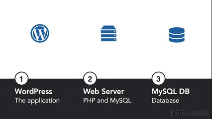 How WordPress Works Explained 📖