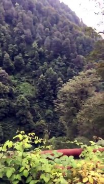 В Абхазии разгулялся криминал