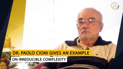 Dr. Paolo Cioni comments on Freud's twisted views on incest