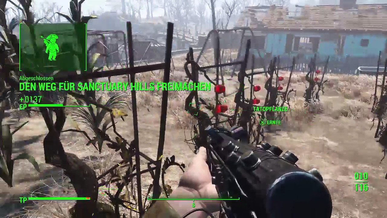 Fallout 4 kranke welt (433)