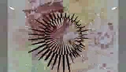 Fheuler34 -Emeli Sande read all About It